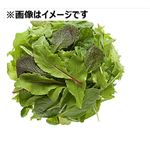 茨城県などの国内産 ベビーリーフ小袋（トレー）1パック