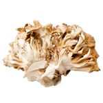 トップバリュ 静岡県などの国内産 まいたけ 1袋