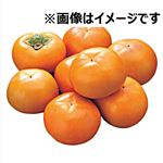 愛知県などの国内産 次郎柿 1袋