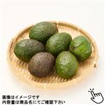 メキシコなどの国外産 青アボカド（メキシコ）6個入 1ネット