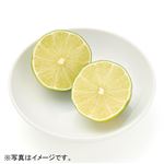 メキシコなどの国外産 ライム 大袋（スクイーズライム）5～6個入 1袋