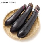 大阪府などの国内産 長なす 3本入 1袋