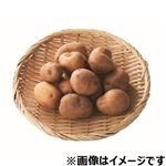 北海道などの国内産 小玉じゃがいも 450g入 1袋