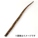 鹿児島県などの国内産 ごぼう 1本入 1袋