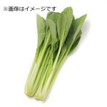 茨城県などの国内産 小松菜（少量）1袋