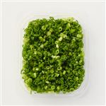 きざみ小ねぎ 30g入 1パック