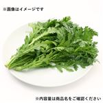 山梨県などの国内産 春菊 1袋