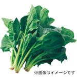 千葉県などの国内産 有機ほうれん草 1袋