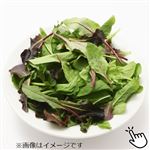 千葉県などの国内産 ベビーリーフ 1袋