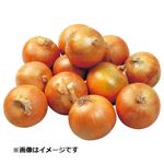 北海道などの国内産 たまねぎ大ネット 1.2kg入 1袋