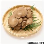 新潟県または長野県などの国内産 霜降りひらたけ 100g入 1パック