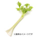 長野県などの国内産 セロリ 1袋