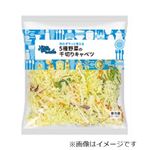 5種野菜の千切りキャベツ 1袋