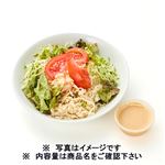 2種の醤入り棒棒鶏サラダ 肉増量 1パック