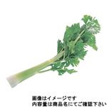 長野県などの国内産 セロリ 大袋 1袋