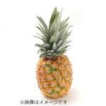 フィリピンなどの国外産 パイナップル（ミニグロー）1本