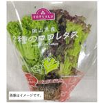 トップバリュ 岡山県産 2種のロロレタス 1袋