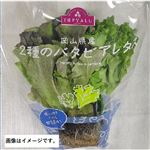 トップバリュ 岡山県産 2種のバタビアレタス 1袋