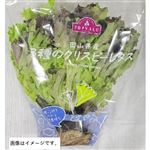 トップバリュ 岡山県産 3種のクリスピーレタス 1袋