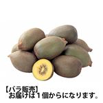 【7月14日～16日の配送】 ニュージーランド産 キウイフルーツ（サンゴールド）5Lサイズ1個