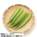 鹿児島県などの国内産 オクラ 1パック  【7／4～7／6お渡し】