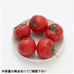愛知県などの国内産 美トマト 1パック
