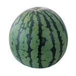 新潟県産 八色すいか（実割れ果）1個 【8月1日～8月3日の受取り】