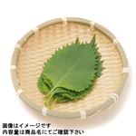 愛知県などの国内産 大葉 1束※【月・火曜日配送限定】