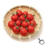 茨城県などの国内産  まるまる赤とまとミニ 1パック