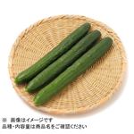 宮崎県 などの国内産 きゅうり 3本入 1袋 【12月15日～12月16日のお受取り】
