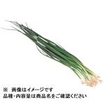 広島県 などの国内産 青ねぎ 1袋 【12月1日～12月2日のお受取り】