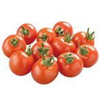 トップバリュ減の恵み 宮崎県 などの国内産 ミニトマト（小パック）1パック 【12月15日～12月16日のお受取り】