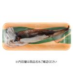 岩手県産他 するめいか（解凍）2杯 【7月10日のお受取り】