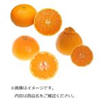 【予約商品】愛媛県産 柑橘食べ比べセット（せとか・デコポン・はるみ）各2個入 1箱 【3月15日（金）～17日（日）の配送】