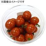 熊本県などの国内産 ミニトマト大パック 1パック 【6月1日（木）～4日（日）の配送】