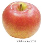 【予約商品】青森県産 りんご（早生ふじ）Lサイズ 1個 【11月7日～11月9日のお届け】