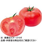 山口県などの国内産 トマト 1パック 【4／19－21配送】