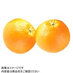 和歌山県などの国内産 はっさく 2個入1パック