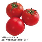 高知県などの国内産 夜須フルーツトマト小パック 1パック