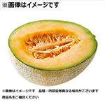 ホンジュラス産 カンタロープメロン（赤肉）1／2カット 1袋 【3月20日－23日のお受取り】