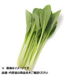 福岡県 などの国内産 こまつな小束 1袋 【9月15日～9月16日のお受取り】