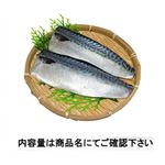 塩サバ 特大 2枚 【11月7日のお受取り】