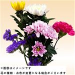 スタッフおまかせお供え花 5本束※種類はお選びいただけません【11／3～11／5お渡し】【置き楽配送指定不可】