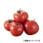 静岡県などの国内産 夢咲トマト 1パック