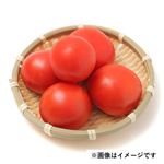 福島県または千葉県などの国内産 あかまるトマト 340g入 1パック
