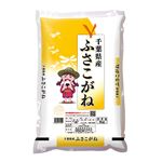 千葉県産 ふさこがね 5kg