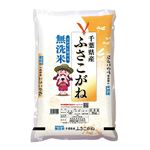 伊丹産業 千葉県産無洗米ふさこがね 5kg