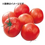熊本県または千葉県などの国内産 トマト 小箱 1箱  【5／4配送】