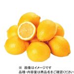 トップバリュ チリなどの国外産 皮ごと食べられるレモン（大）5個入 1パック