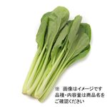 福岡県 などの国内産 シャキ直こまつな 1袋 【9月15日～9月16日のお受取り】
